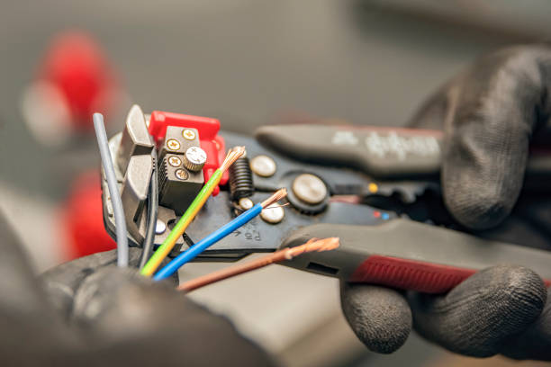 Best Electric Panel Repair  in Rochelle, IL